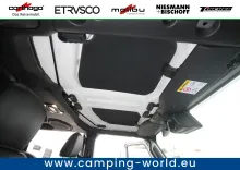 Fahrzeugbild Tischer Box 230S #74