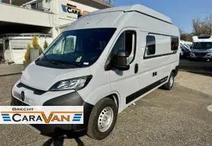 Bild Papillon<br/>PC 6.0